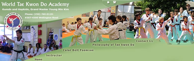 Martial Arts Nanaimo, Taekwondo